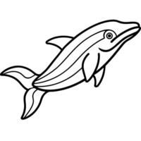 Galapagos Shark fish play icon vector