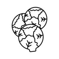 Brussels sprouts Cabbage icon linear logo mark in black and white vector