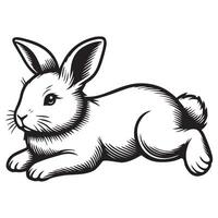 Bunny Outline Clipart - A Lying Down Rabbit illustration in black and white vector