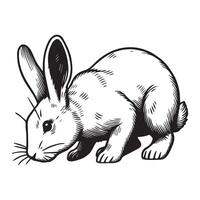 Bunny Outline Clipart - A Sniffing Ground Rabbit illustration in black and white vector