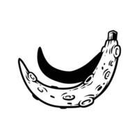Isolated fun banana like a moon with simple classic vintage art line hand draw style vector