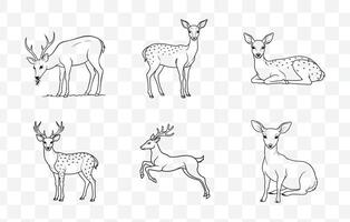 Print Elegant Deer Line Art Set for Creative Designs and Illustrations vector
