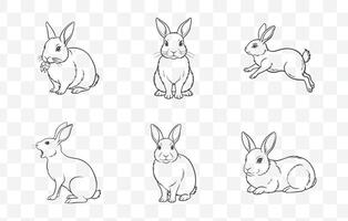 Print Collection of Rabbit Line Art Illustrations vector