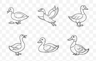 Comprehensive Duck Line Art Set for Creative Projects and Artistic Endeavors vector