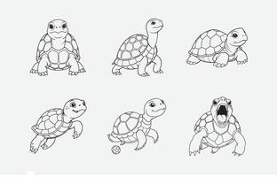 Print Exquisite Turtle Line Art Set, Intricate and Elegant Designs for Creative Projects vector