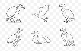 Print Vulture Line Art Set Collection Featuring Elegant and Detailed Illustrations of Vultures vector