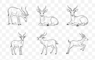 Print Comprehensive Antelope Line Art Collection for Designers and Creators vector