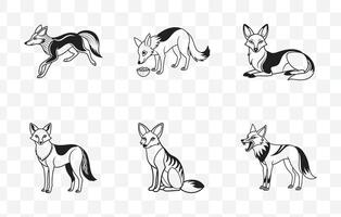 Extensive Collection of Jackal Graphics and Illustrations for Design Projects vector