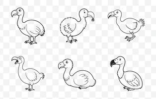 Print Dodo Line Art Set Featuring Unique and Detailed Illustrations for Creative Projects vector