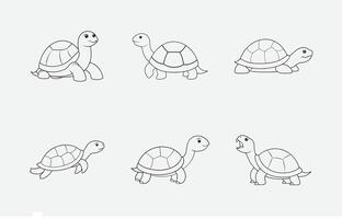 Print Exquisite Tortoise Line Art Set, Detailed and Elegant Illustrations for Creative Projects vector
