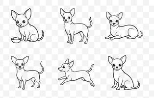 Print Detailed Chihuahua Line Art Set for Graphic Design and Illustration Projects vector
