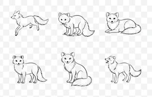 Print Discover the Ultimate Arctic Fox Line Art Set Featuring Stunning and Detailed Illustrations Perfect for Creative Projects and Design Inspiration vector