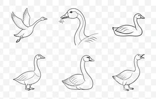 Print Comprehensive Collection of Intricate and Elegant Goose Line Art Illustrations for Creative Design Projects and Artistic Inspiration vector