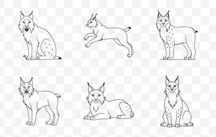 Print Detailed Lynx Line Art Set for Designers and Illustrators vector
