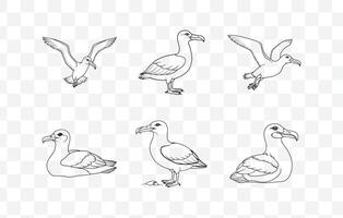 Print Ultimate Albatross Line Art Set. Elegant And High Quality Designs for Creatives vector