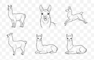 Print Llama Line Art Set Featuring Elegant and Creative Designs for Graphic and Artistic Projects vector