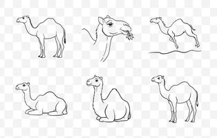 Print Comprehensive Collection of Camel Line Art Set for Illustrations and Design Projects vector