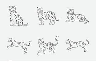 Print Exquisite Tiger Line Art Set, Majestic and Detailed Designs vector