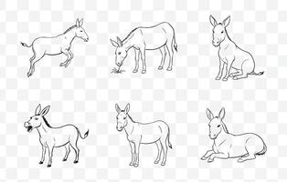 Print Comprehensive Mule Line Art Set for Illustrations Graphics and Design Projects vector