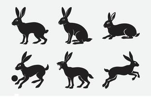Print Ultimate Hare Silhouette Set, High-Quality Designs for Creative Projects vector