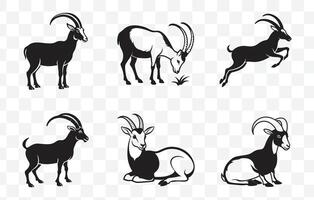 Print Ibex Black Set for Wildlife Illustrations and Artistic Projects Featuring Detailed Ibex Designs vector