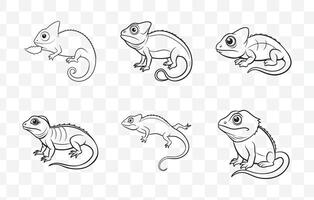 Print Detailed Chameleon Line Art Set for Designers and Illustrators with High Quality and Intricate Design Elements vector