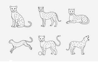 Print Ultimate Cheetah Line Art Set, Exquisite Designs for All Your Creative Needs vector