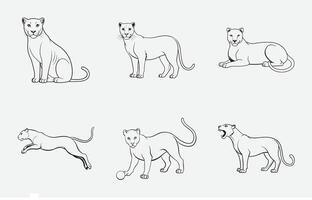 Print Ultimate Panther Line Art Set, High-Quality Illustrations for Designers vector