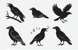 Print Ultimate Crow Silhouette Set, High-Quality Designs for Creative Projects vector