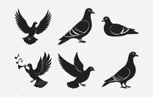 Print Stunning Pigeon Silhouette Set, Perfect for Designers and Creators vector