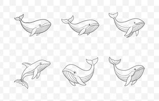 Print An Extensive Collection of Beautifully Detailed Whale Line Art Illustrations for Creative Design Projects vector