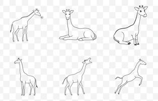 Print Giraffe Line Art Set Elegant Minimalist Designs for Creative Projects and Illustrations vector