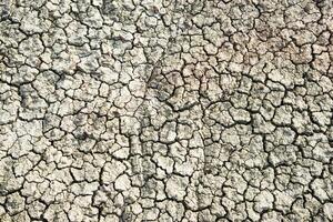 rock ,Dry cracking drought earth lacking rain climate change photo