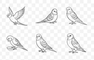 Comprehensive Budgerigar Line Art Set for Creative Projects and Designs Featuring Unique Styles vector