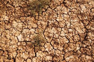 brown, rock ,Dry cracking drought earth lacking rain climate change photo