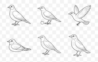 Print Blackbird Line Art Set Intricate Illustrations of Blackbirds in Various Poses and Styles vector