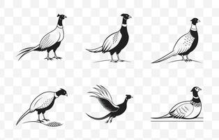 Print Comprehensive Pheasant Line Art Collection for Designers and Artists vector