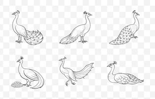 Print Peafowl Line Art Set with Elegant Designs for Artistic Creations and Graphic Projects vector