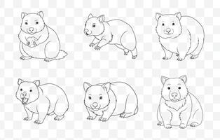Print Elegant Wombat Art Collection Featuring Detailed Illustrations of Wombats in Various Poses and Styles vector