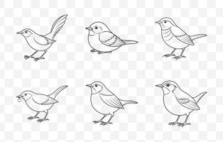 Print Comprehensive Wren Line Art Set Featuring Detailed Bird Illustrations for Artistic and Graphic Design Projects vector