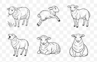 Print Sheep Line Art Set Detailed Illustrations of Sheep in Minimalist Line Art Style Perfect for Farm and Animal Lovers vector