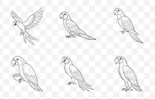 Print Vibrant Macaw Line Art Set Featuring Detailed Illustrations for Creative Projects vector