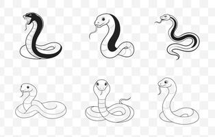 Print Comprehensive Snake Line Art Collection Featuring Detailed Illustrations of Various Snake Species vector