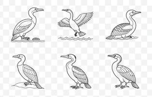 Print Cormorant Line Art Set High Quality Detailed Bird Illustrations for Graphic Design and Art Projects vector