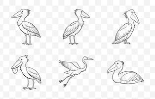 Print Comprehensive Shoebill Line Art Set for Illustrations and Designs vector