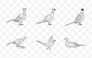 Print Pheasant Line Art Set Featuring Elegant Bird Illustrations for Artistic and Decorative Design Projects vector