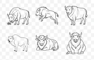 Print Bison Art Set Beautiful Illustrations of American Buffalo in Detailed Line Art vector