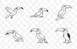 Print Elegant Toucan Line Art Set for Detailed Artistic Designs and Creative Projects vector