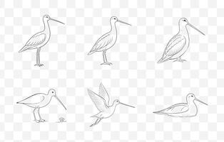 Print Comprehensive Snipe Line Art Collection for Illustrations and Designs vector