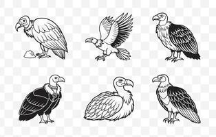 Print Elegant Vulture Line Art Set for Creative Projects and Artistic Designs vector